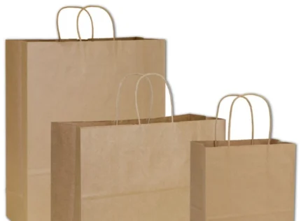 "A set of three different-sized kraft paper bags with twisted handles from JC Packaging, epitomizing eco-friendly carrying solutions."