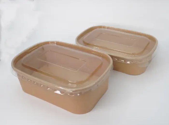 "Two recyclable paper food containers with transparent lids, ideal for eco-conscious dining experiences, presented by www.jcpackagingdubai.com, leaders in sustainable packaging."